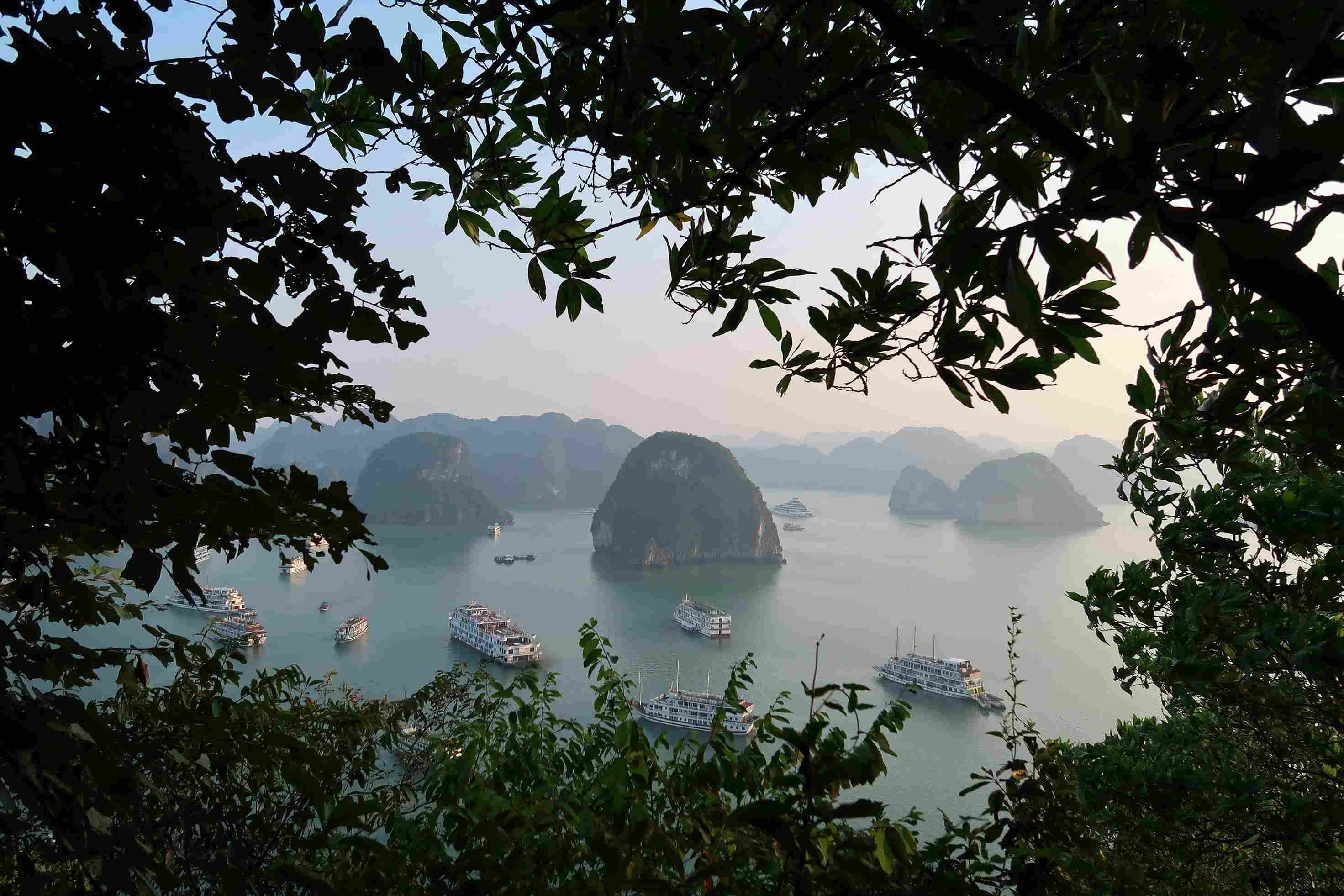 cruises in ha long bay